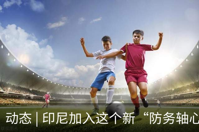 动态 | 印尼加入这个新“防务轴心”，印度深感恐慌！