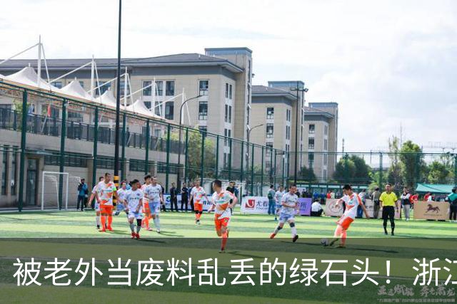 被老外当废料乱丢的绿石头！浙江小伙捡漏盘活 硬生生造出省级节日